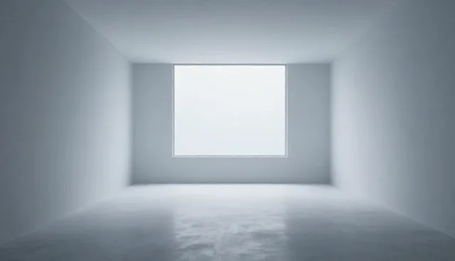 实施效果：网络项目性能与适用条件分析